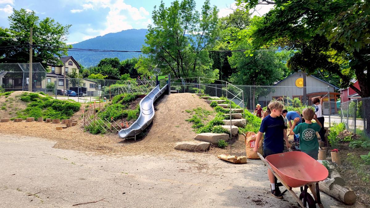 Wildflower Wildscape Planting