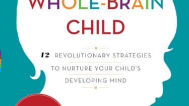 Whole Brain Child Book