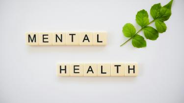 Scrabble tiles spelling "Mental Health" against a white background with a piece of greenery showing beside the tiles.