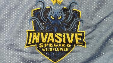 New Jersey Logo